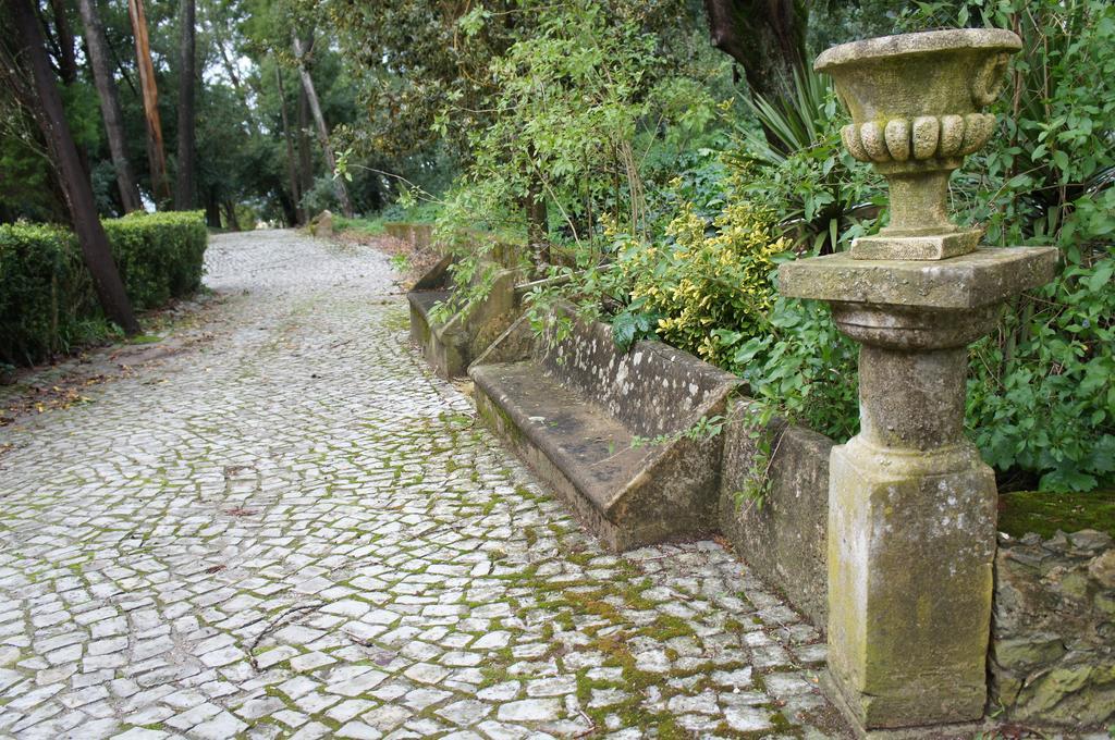 Hotel Quinta Do Convento Vila Verde dos Francos Exterior foto